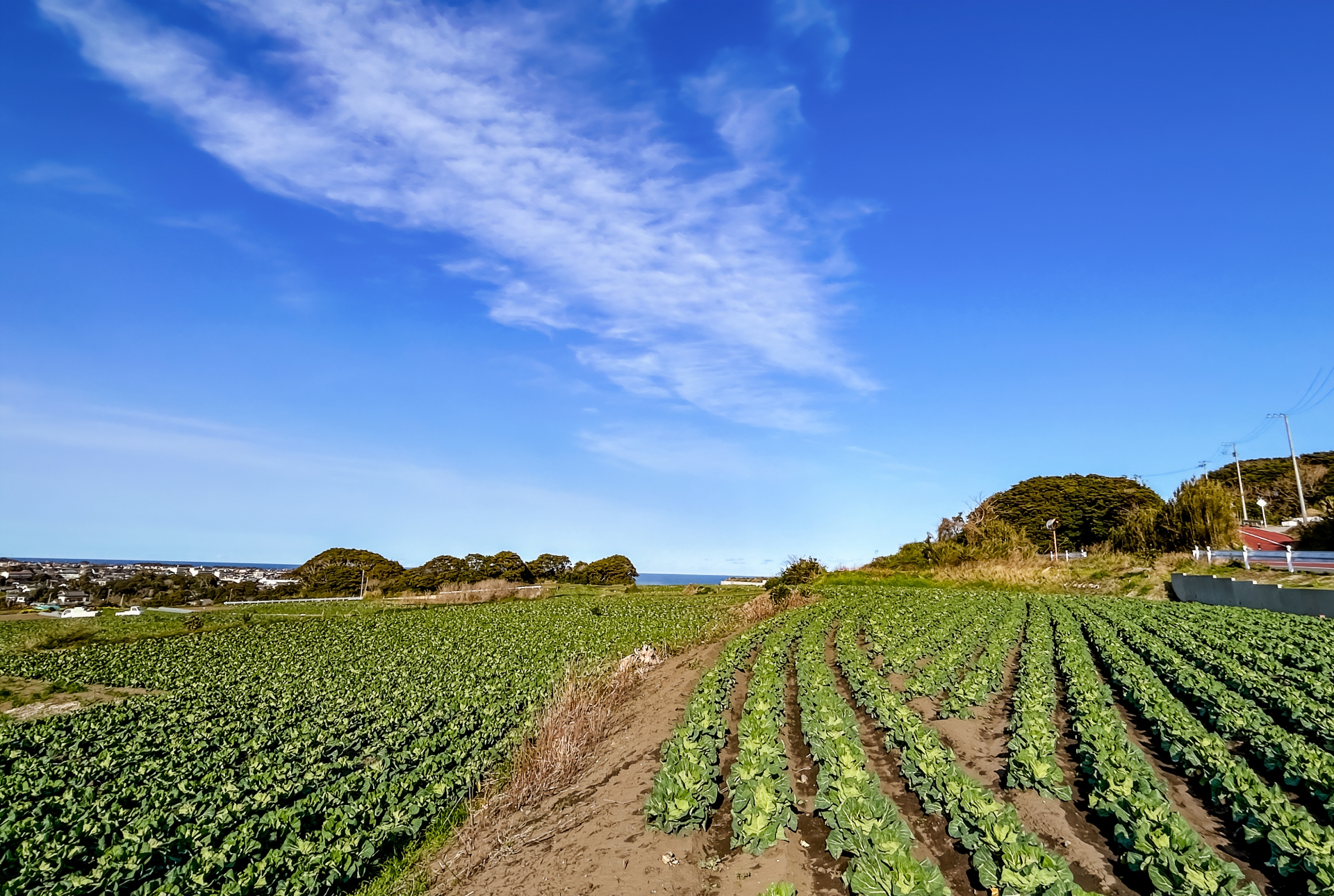 【成約御礼】都城市都島町の畑・農地をご売却! 土地売買契約を締結いたしました